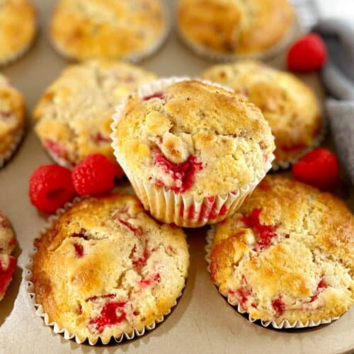 muffins with raspberries and white chocolate chips sitting in a muffin tin with fresh raspberries and a blue tea towel.