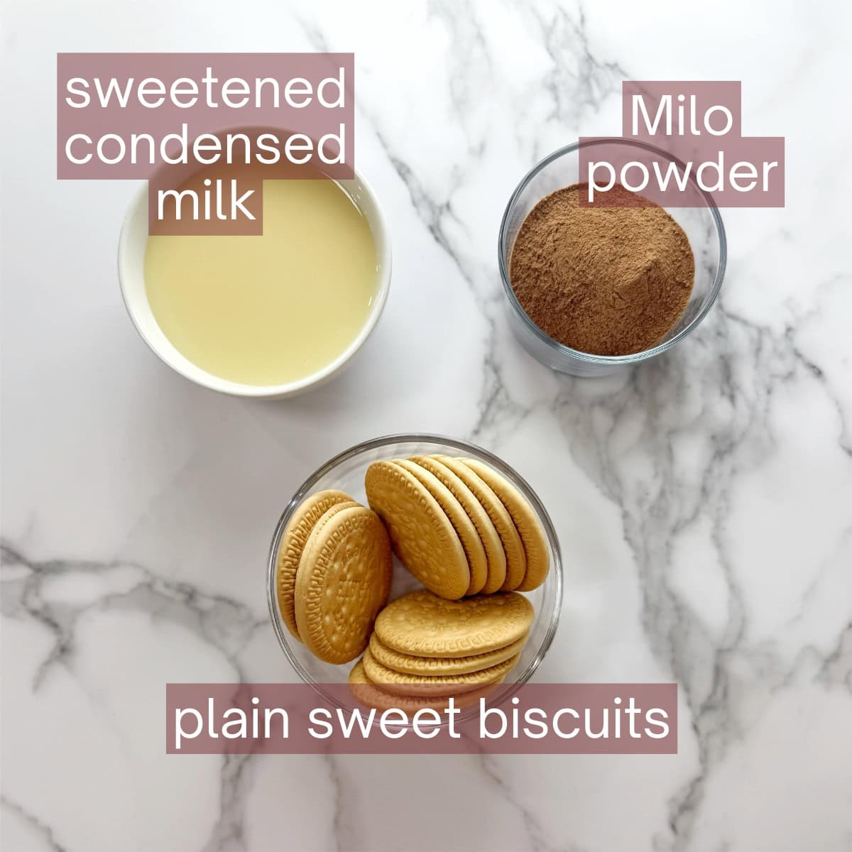 Graphic showing the ingredients needed to make this recipe including labels.